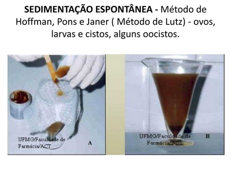 PPT Métodos de Exame Parasitológico de Fezes Exame parasitológico de