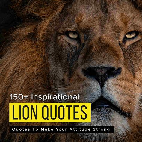 Inspirational Lion Quotes To Make Your Attitude Strong Quotesmasala