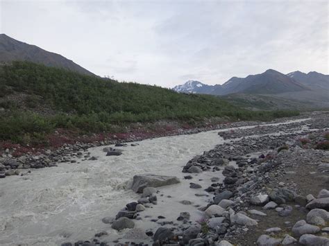 Gulkana Glacier Area Fairbanks Area Hiking Club