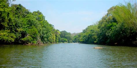 Kuruva Island Wayanad (Timings, History, Entry Fee, Images ...