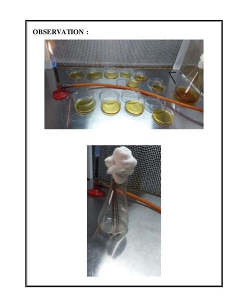 Antibacterial activity of honey on pseudomonas species