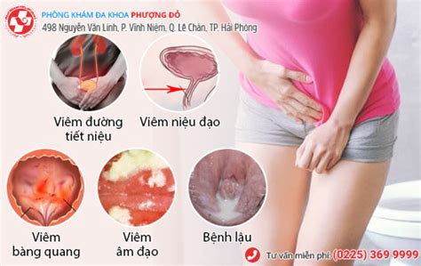 Nguyên nhân gây ra tình trạng tiểu buốt rát ở nữ giới