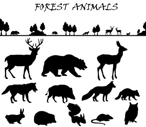 forest animals silhouette set  stock photo public domain pictures