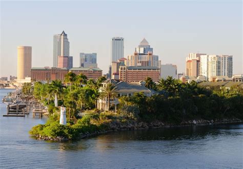 Top Reasons To Move To South Tampa Living In South Tampa Moving To