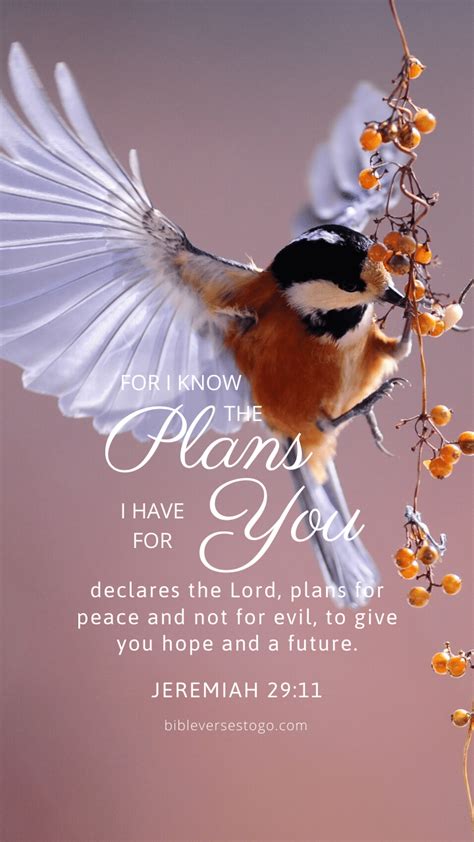 Birdflight Bible Verse Wallpaper Bible Verses To Go