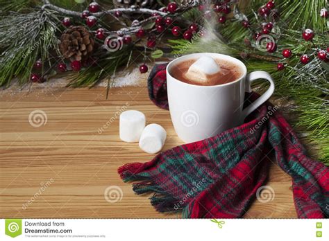 Hot Cocoa With Marshmallows Stock Image Image Of Steaming Christmas