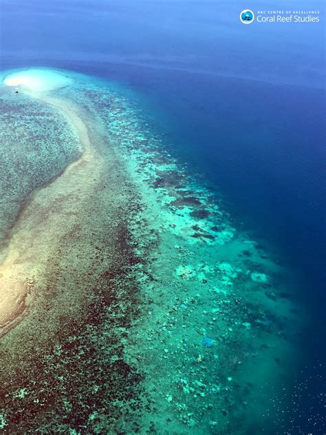 Urgent Action Needed To Save The Reef While We Still Can Scientists Warn Australian Geographic