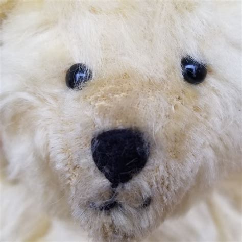 IDENTIFY MOHAIR TEDDY BEAR STEIF Antiques Board