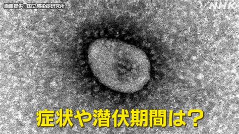 オミクロン株の症状や潜伏期間は？軽症でも持病悪化のケースも Nhk