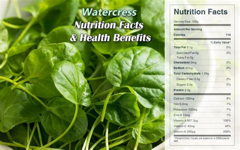 Watercress Nutrition Facts Health Benefits Cookingeggs