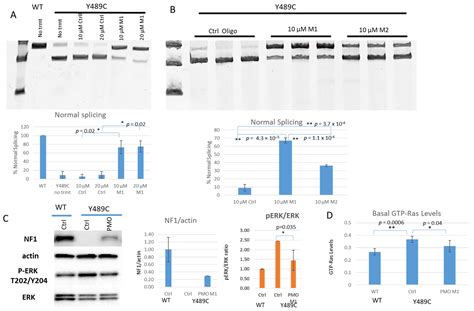 Jpm Free Full Text Restoration Of Normal Nf1 Function With