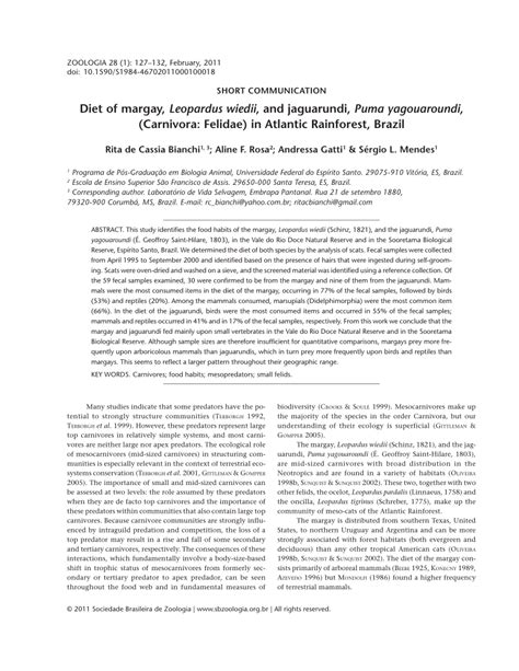 (PDF) Diet of margay (Leopardus wiedii) and jaguarundi (Puma yagouaroundi) in Atlantic ...