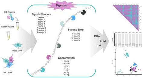 评估胰蛋白酶在定量血浆和单细胞蛋白质组学中的临床应用作用analytical Chemistry X Mol