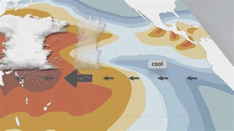 Cool Temperature Climate