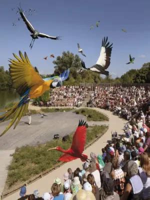 Camping Le Nid du Parc Camping à Villars les Dombes