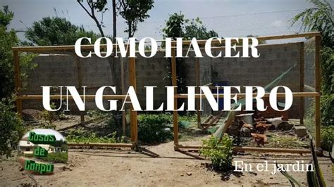 Hacer Un Gallinero En Jardin Paso A Paso Actualizado Noviembre