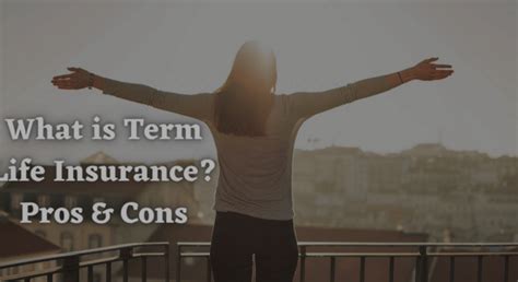 What Is Term Life Insurance Pros And Cons Schoolzedu Insurance Insights Your Comprehensive