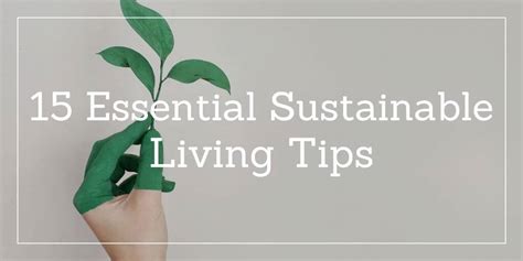 15 Essential sustainable living tips - EcoPanda™ UK