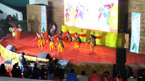 Boro Traditional Culture Dance Beautiful Dance Cultural Complex