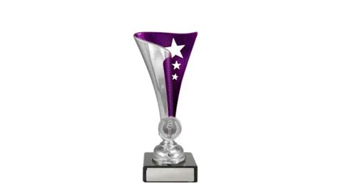 Epic Cup Silver And Purple Sproule Trophies Corporate Awards