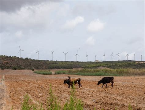 Home Changement Climatique En Tunisie