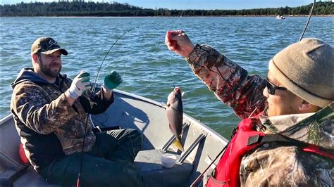 Oregon Coast Perch Fishing Youtube