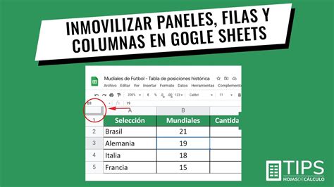 Cómo inmovilizar bloquear paneles filas y columnas en Google Sheets