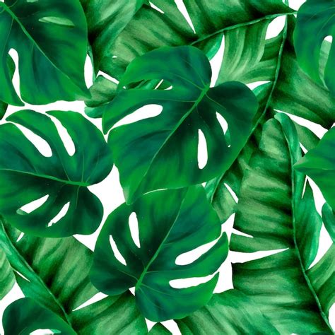 Folhas Tropicais Verdes Elegantes Sem Costura Padr O De Aquarela