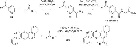 Minisci Reactions Versatile Ch Functionalizations For Medicinal