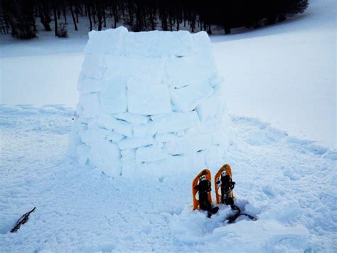 Attività Costruzione Igloo Veneto Survival