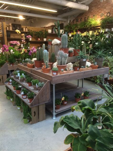 Notcutts Pembury Garden Centre Dandp Lifestyle Layout