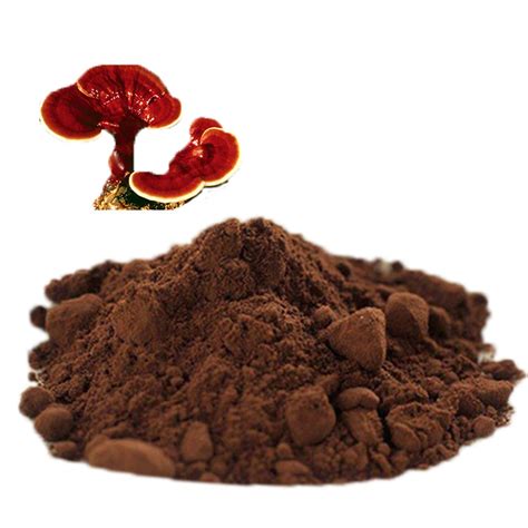 High Quality Ganoderma Mushroom Extract Reishi Mushroom Powder ...