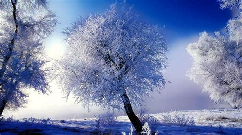 Snow Scenes Wallpaper - WallpaperSafari