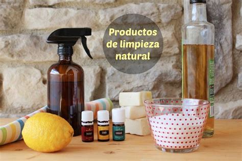 Limpieza Natural Del Hogar Productos Y Recetas Soap Bottle Hand