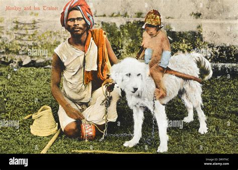 Blind Trainer with a Monkey (riding a white dog) - India Stock Photo: 65985176 - Alamy