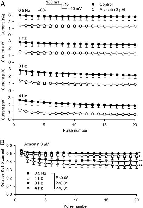 Acacetin Causes A Frequency And Use Dependent Blockade Of HKv1 5