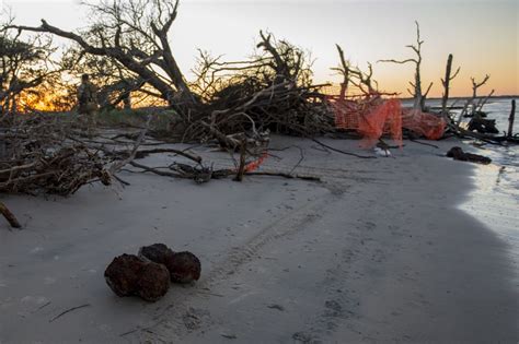 Hurricane Uncovers Civil War Era Cannon Balls Cnn