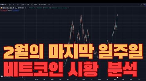 코인시장 2월의 마지막 일주일 비트코인 시황 분석 Youtube