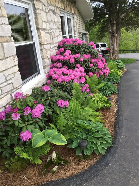 Shade Garden In 2024 Shade Garden Shade Garden Design Front Yard