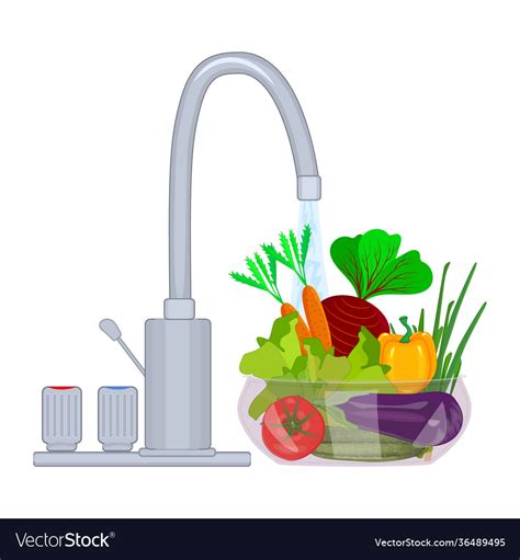 Washing Vegetables And Fruit Royalty Free Vector Image