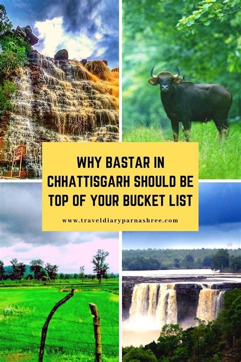 Bastar Is A Well Kept Secret Of Chhattisgarh Bastar Flaunts Dense