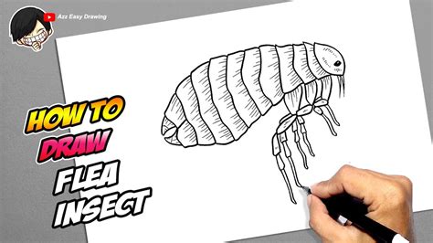 How To Draw A Flea