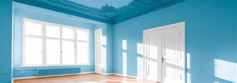 ceiling colour advice  colour   paint  splat