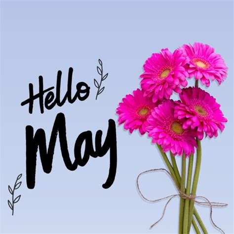 Hello May Template Postermywall