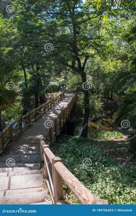 Tiro Vertical De Uma Ponte De Madeira No Meio Da Floresta Foto De Stock