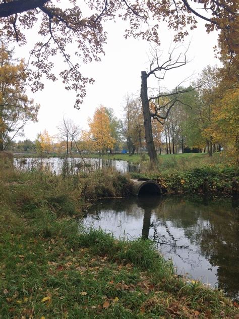 Мост, Санкт-Петербург, г. Красное Село, ул. Восстановления