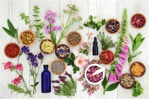 Viele Therische Le Rezepte Und Aromatherapie Diffusor Zum Wohlf Hlen