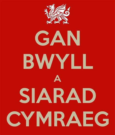 Gan Bwyll A Siarad Cymraegkeep Calm And Speak Welsh Welsh Words