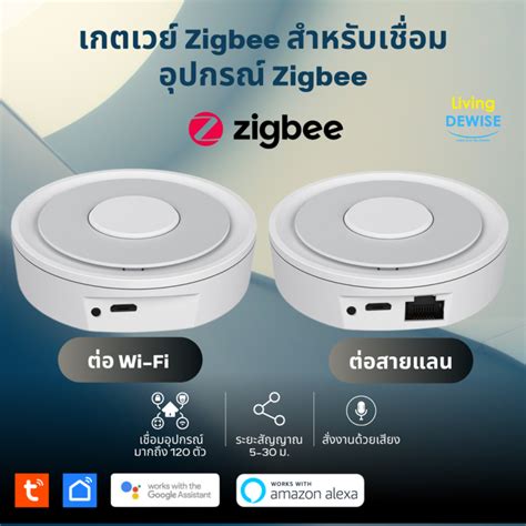 Tuya Zigbee Gateway LAN หรอ Wi Fi เกตเวย Zigbee สำหรบเชอมอปกรณ