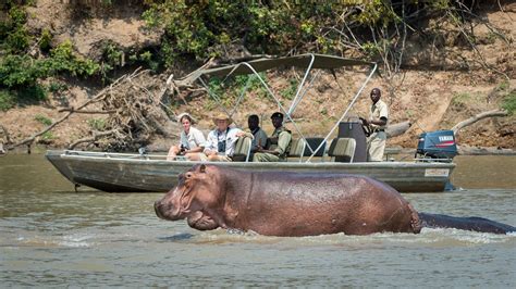 8 Day River Journeys South Luangwa National Park Zambia